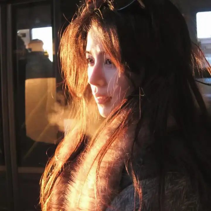 老虎田鸡